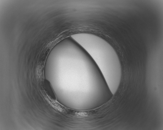 X0000086050409200703230926