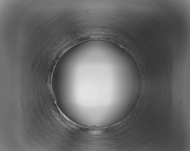 X0000086050411200703230926