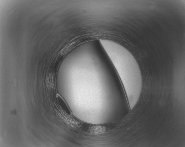 X0000086050421200703230926