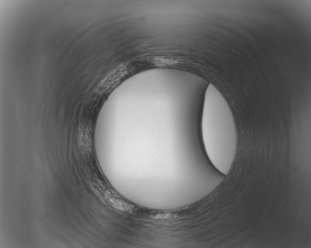 X0000086050426200703230925