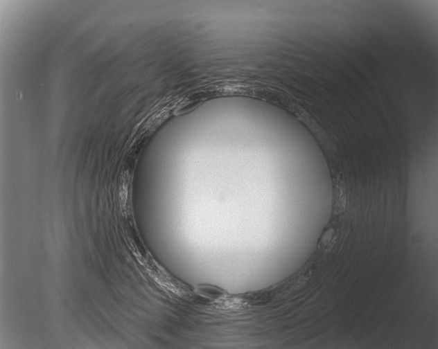 X0000086050427200703230925