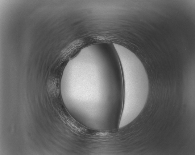 X0000086050428200703230925