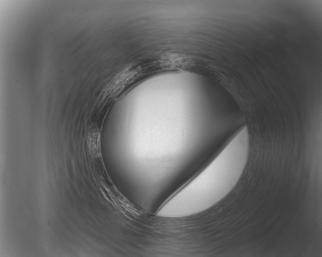 X0000086050429200703230925