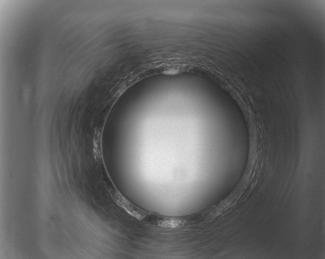 X0000086050432200703230925
