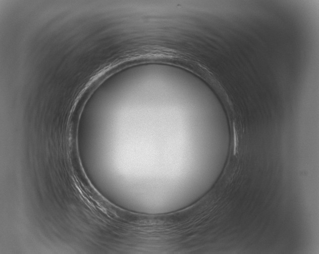 X0000086050435200703230925