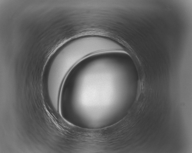 X0000086050436200703230925