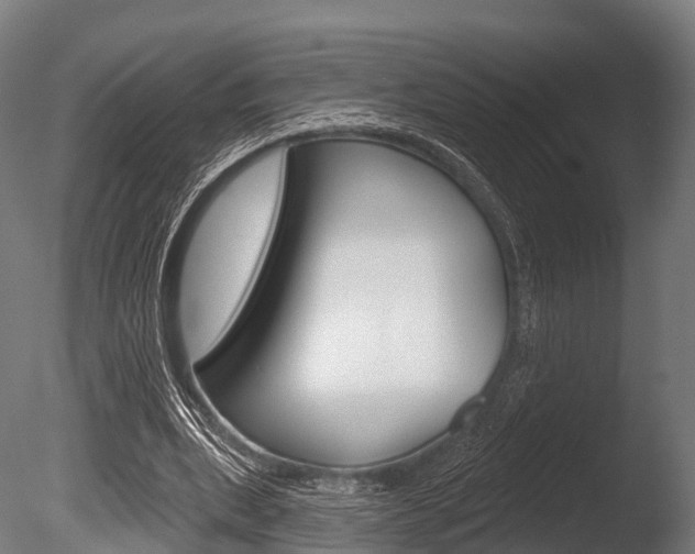 X0000086050439200703230925