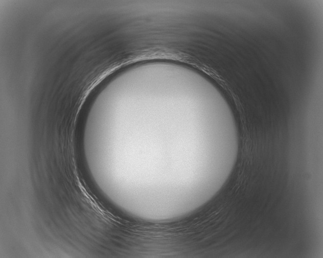 X0000086050440200703230925