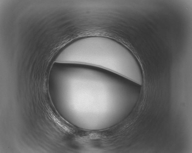 X0000086050441200703230925