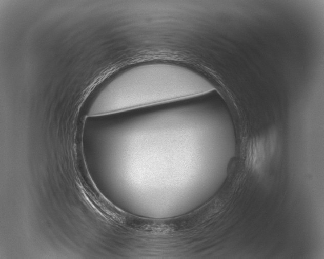 X0000086050443200703230925