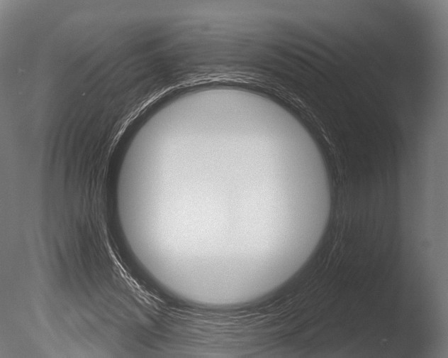 X0000086050444200703230925