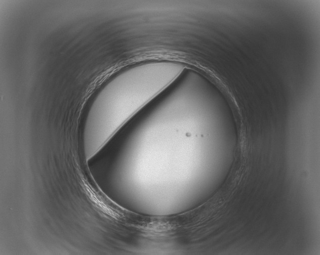 X0000086050445200703230925