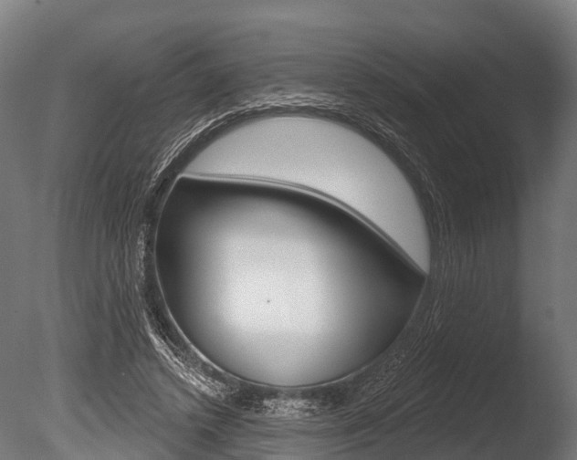 X0000086050448200703230925