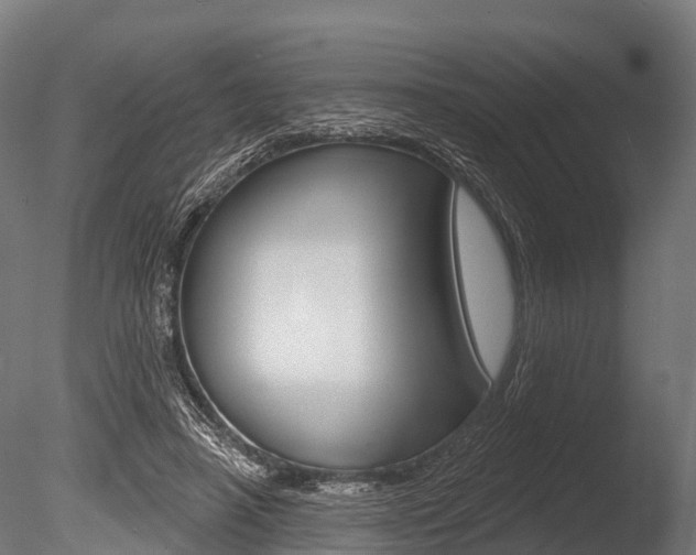 X0000086050450200703230925
