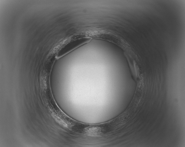 X0000086050452200703230925