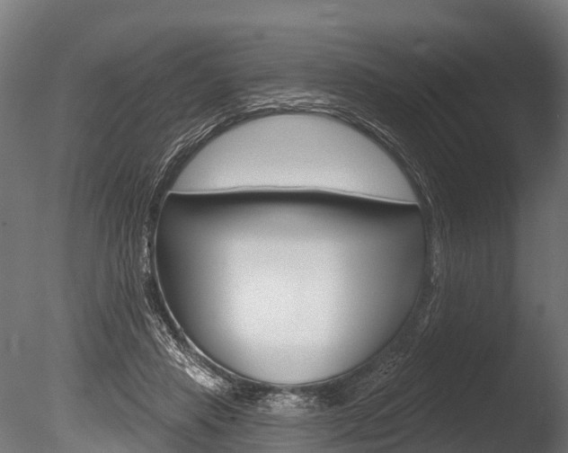 X0000086050453200703230925
