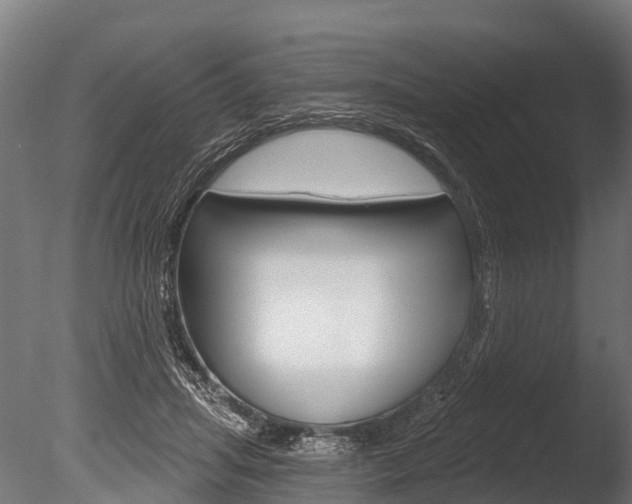X0000086050455200703230925