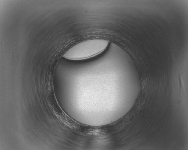 X0000086050460200703230925