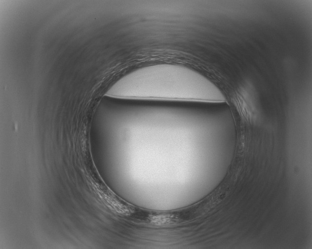 X0000086050461200703230925