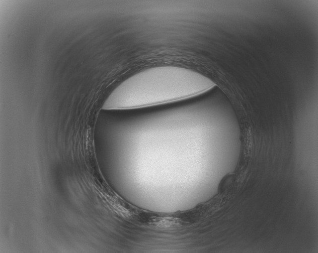 X0000086050463200703230925