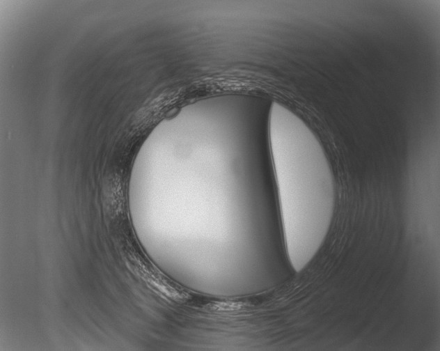 X0000086050465200703230925
