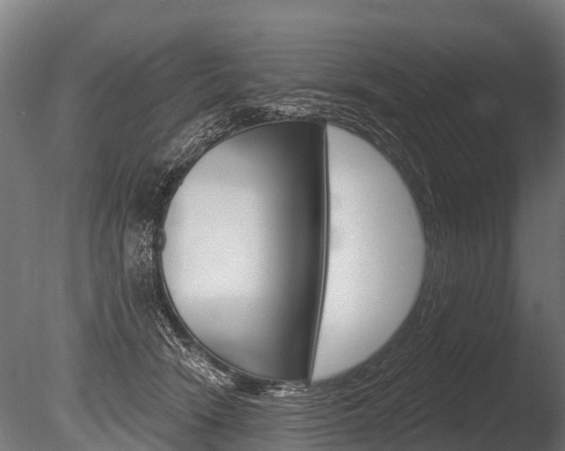 X0000086050466200703230925