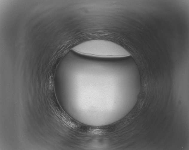 X0000086050467200703230925
