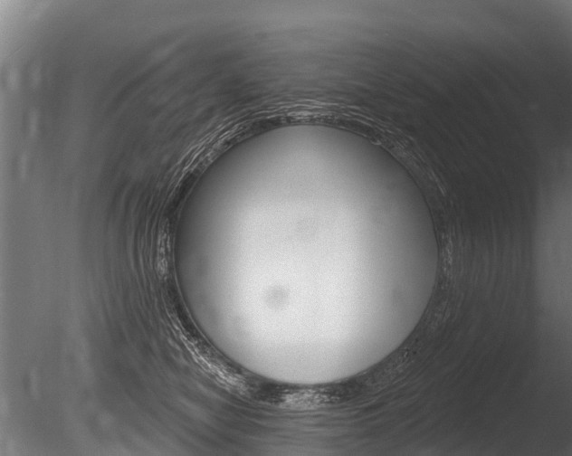 X0000086050470200703230925