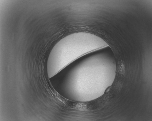 X0000086050471200703230925