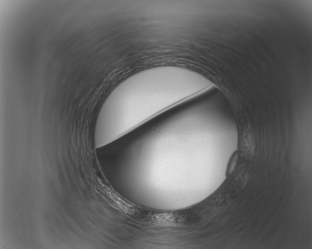 X0000086050473200703230925