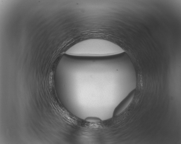 X0000086050475200703230925