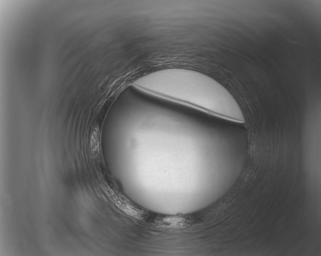 X0000086050478200703230925