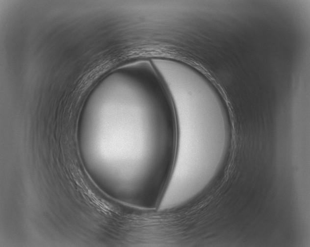 X0000086050481200703230924