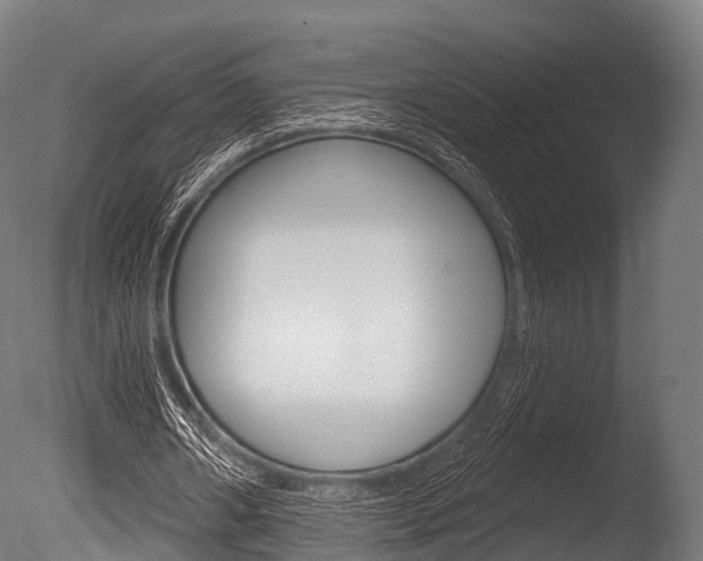 X0000086050482200703230924