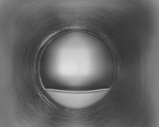 X0000086050484200703230924