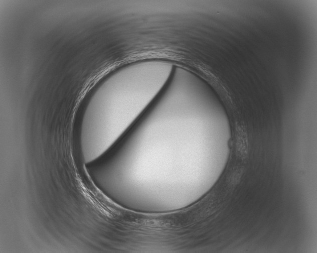 X0000086050486200703230924