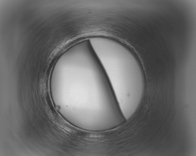 X0000086050487200703230924