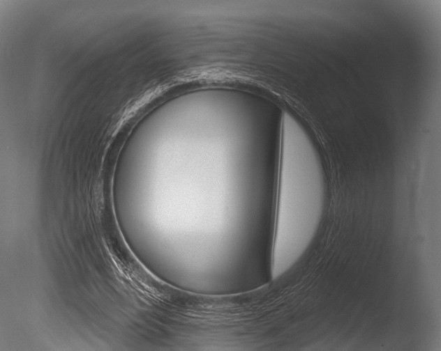 X0000086050488200703230924