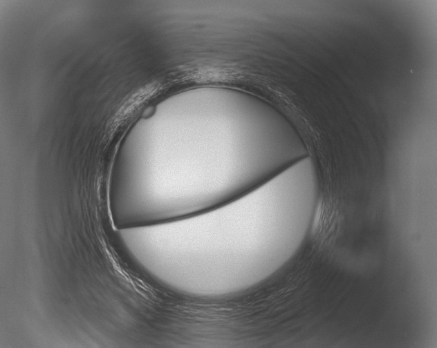 X0000086050491200703230924