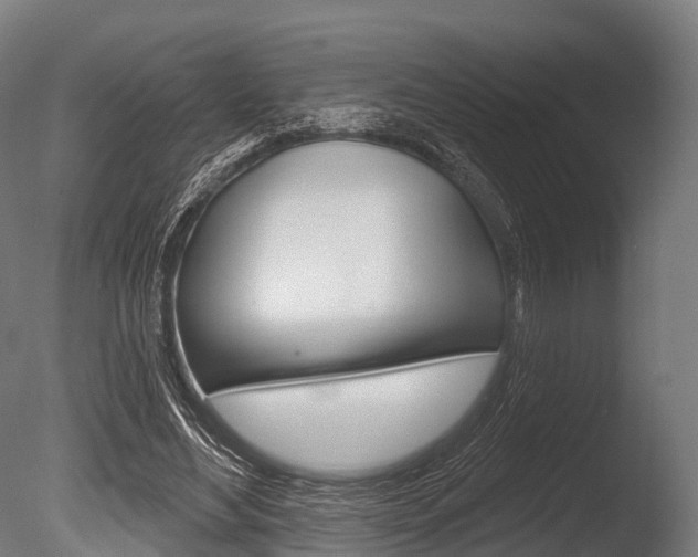 X0000086050492200703230924