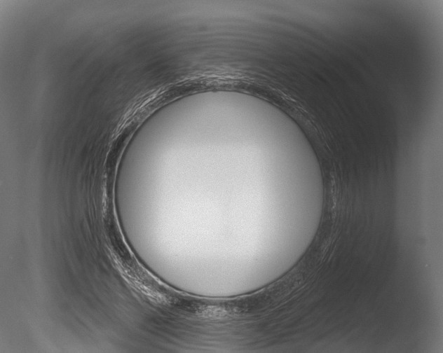 X0000086050494200703230924