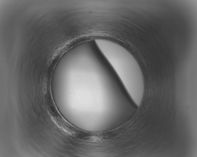 X0000086050496200703230924