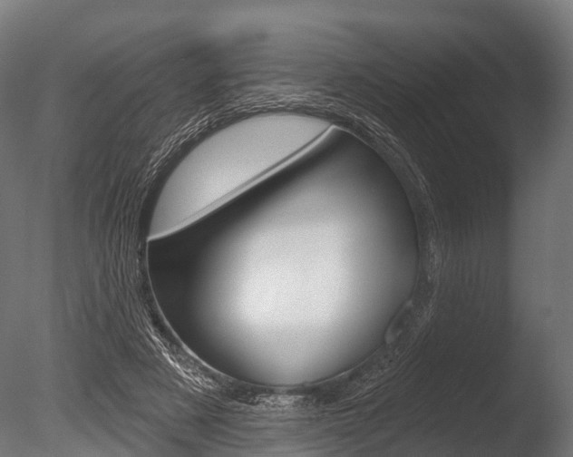 X0000086050497200703230924