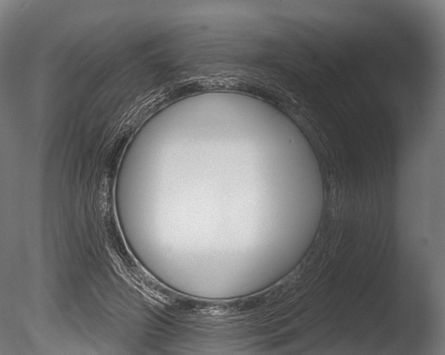X0000086050498200703230924