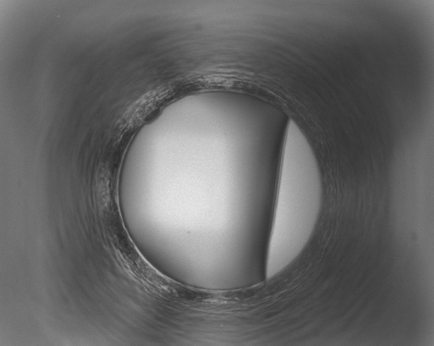 X0000086050504200703230924