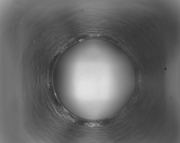 X0000086050512200703230924