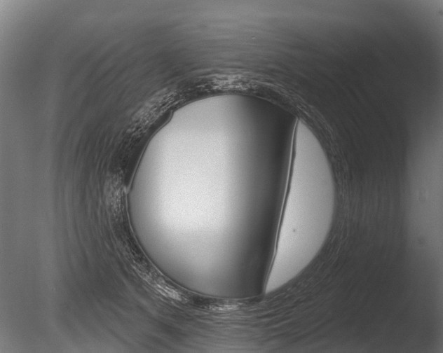 X0000086050513200703230924