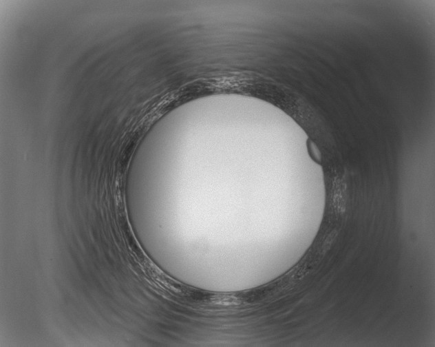 X0000086050514200703230924