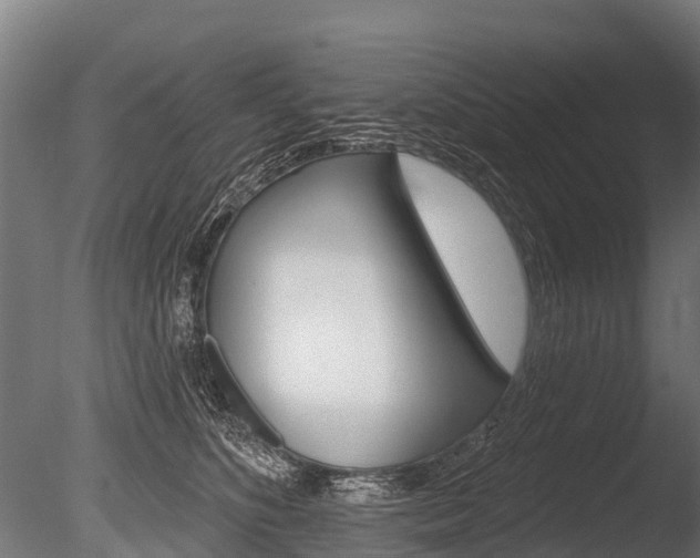 X0000086050516200703230924
