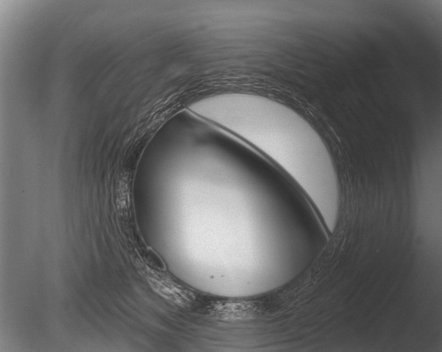 X0000086050517200703230924